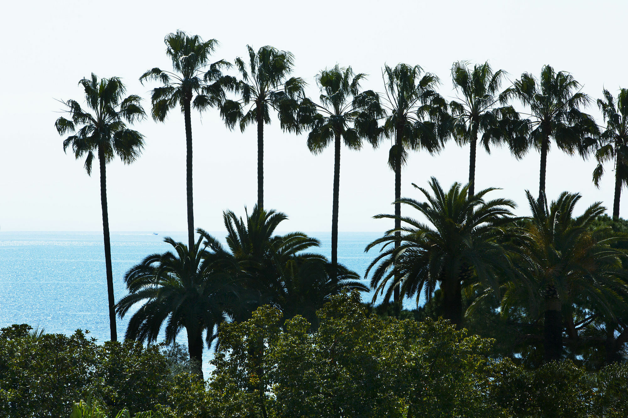 Villa D'Estelle Cannes Buitenkant foto